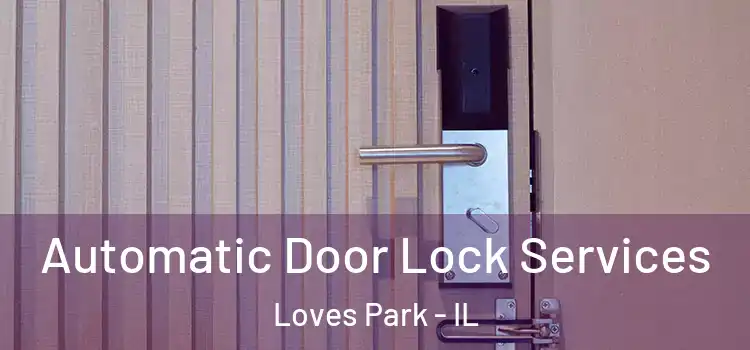  Automatic Door Lock Services Loves Park - IL