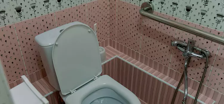 Meeting Diverse Needs With Accessible Restroom Solutions in Loves Park, IL