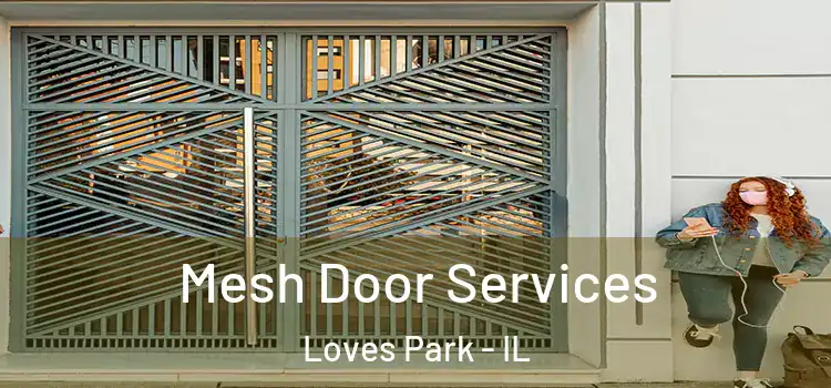 Mesh Door Services Loves Park - IL