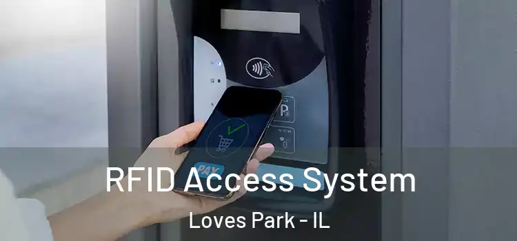  RFID Access System Loves Park - IL